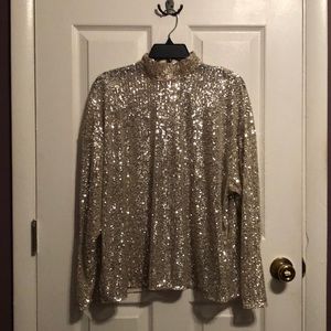 NWT Sequin Long Sleeve Top (H&M)